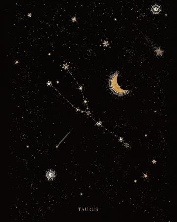Cocorrina Co On Instagram The Taurus Constellation Down To