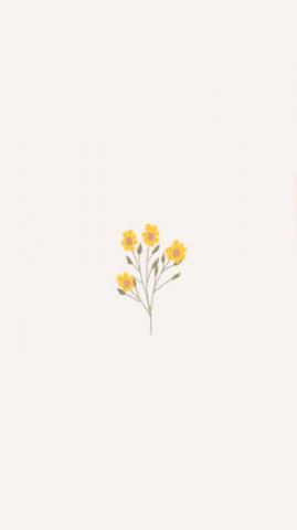 Minimalist Floral Wallpaper 4k HD