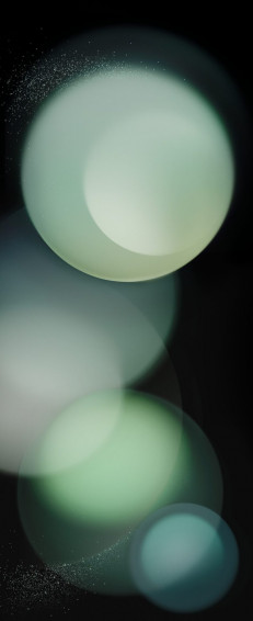The Samsung Galaxy Z Flip Wallpaper Here