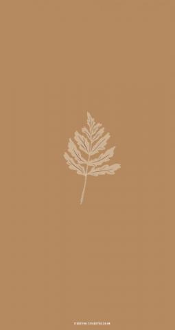 Cute Brown Aesthetic Wallpaper For Phone Beige Leave I Take