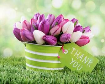 Thankyou