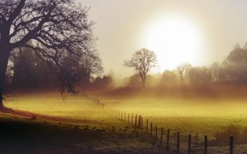 Field Morning Fog Fence Landscape Autumn Wallpaper HD
