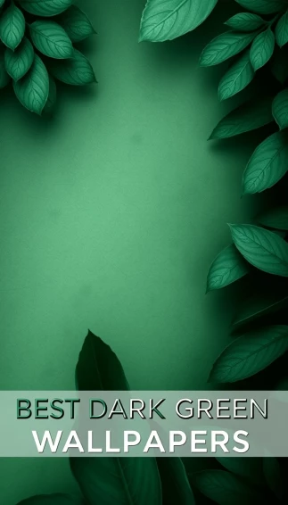 Best Dark Green Wallpaper