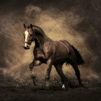 Running Horse iPad Air Wallpaper iPhone