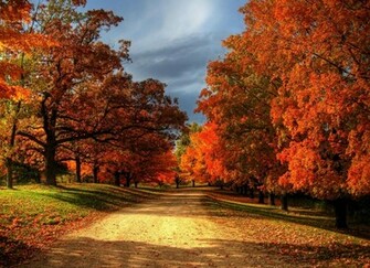 The Real Reasons Why Fall Winter Has Two Different Names