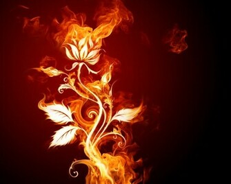 Heart Flowers Violet Wallpaper Spring Flower Fire