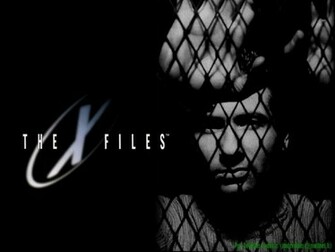 The X Files Wallpaper