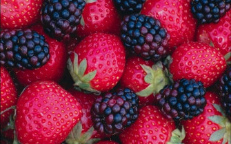 Berry Full HD Wallpaper And Image