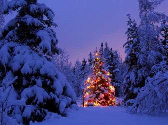 Snow Makes For White Christmas In Northern Arizona Rain Triggers