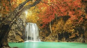 Cascade De La For T D Automne Windows HD Fonds Cran Fond