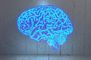 Brain Training Games Don T Boost Iq Here S What Does Vox