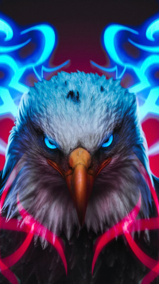 Eagle Wallpaper