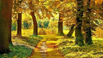 Autumn Landscape Wallpaper
