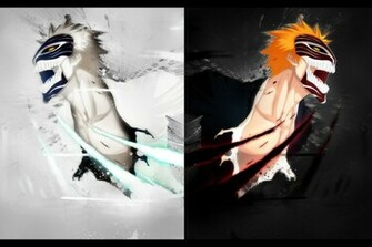 Vizard Ichigo And Hichigo Wallpaper