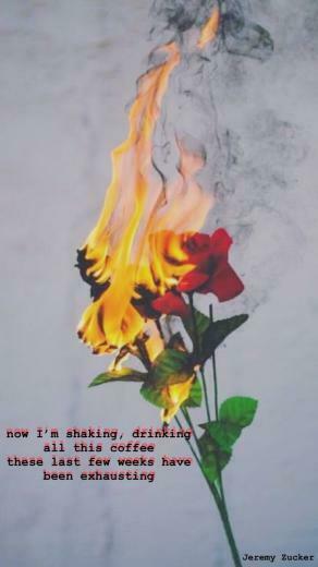 Jeremy Zucker Comethru iPhone Wallpaper Fire Flower