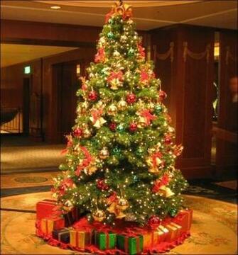 Stunning Christmas Tree Image Pictures Photos