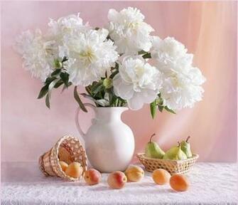 White Peonies Wallpaper