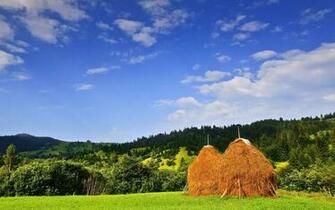 Incredible Nice Hay Bale Wallpaper