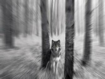 Related Pictures Background Trippy Desktop
