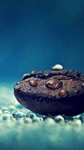 Up Coffee Bean Dew iPhone Wallpaper