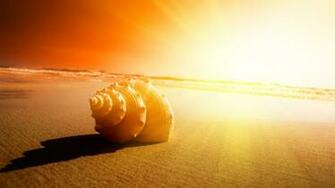 Sunrise Background Wallpaper High Definition Quality