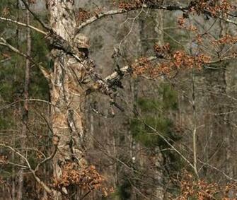 Realtree Logo Wallpaper Picture
