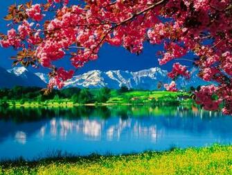 Nature Wallpaper Daydreaming
