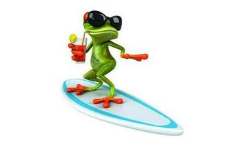 Wallpaper Frog 3d Funny Surf Glasses Rendering
