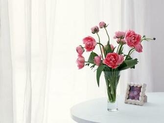 Beautiful Flower Wallpaper For You Vase Of Flowers