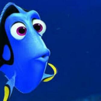 Dory Wallpaper