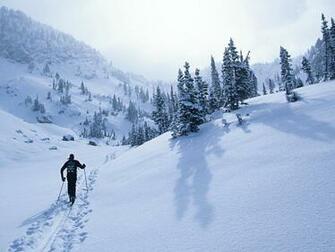 Skiing Wallpaper Pictures