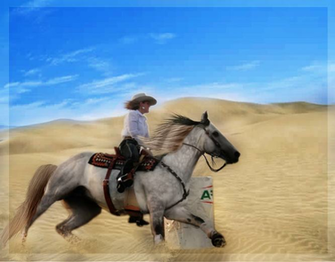 Barrel Racing Wallpaper