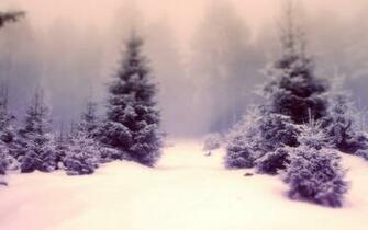 Snow Dream HD Wallpaper Theme Bin Customization
