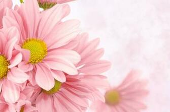 Floral Background Powerpoint Background For