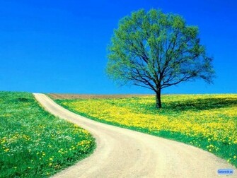 Nature Best Wallpaper