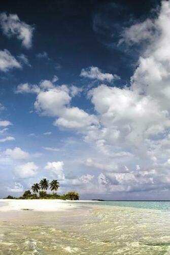 Beach Summer iPhone Wallpaper