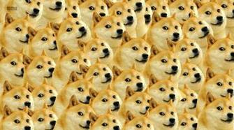 Doge Meme Wallpaper HD Quality