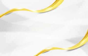 Simple Elegant White Background Vectors
