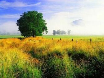Smoky Mountains Park Tennessee Wallpaper