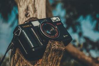 Black Yashica Point And Shoot Camera Stock Photo Image