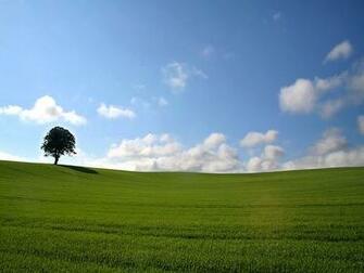 Windows Classic Wallpaper