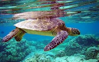 Ocean Image Wallpaper High Definition Quality Widescreen