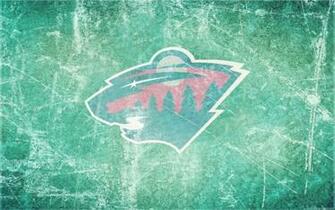 Minnesota Wild Wallpaper Desktop Background