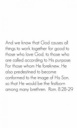 Make Bible Verse Wallpaper For iPhones