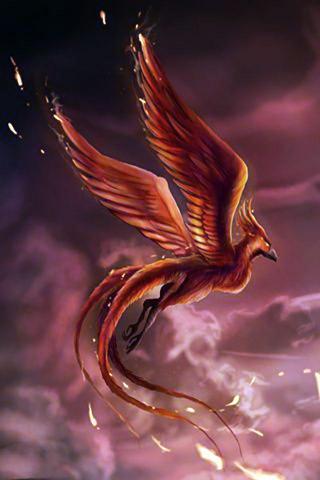 Phoenix Wallpaper Art