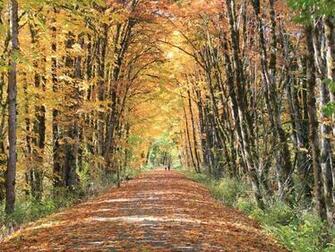Wallpaper Rails To Trails Conservancy