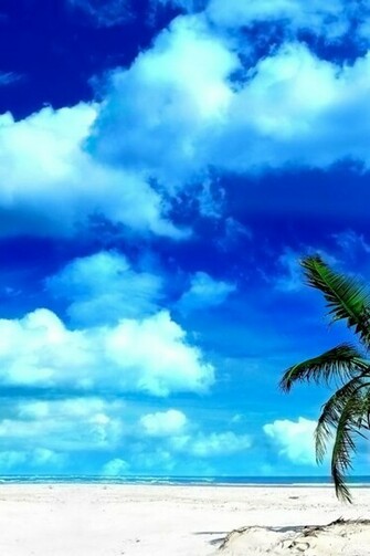 Beach Holiday Wallpaper Wallpapertube iPhone Gallery