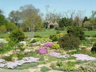 Spring Scenes Wallpaper Pictures