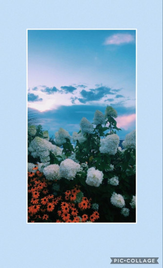 Blue Flower Aesthetic Wallpaper