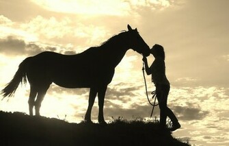 Western Horse Wallpaper HD Background Desktop